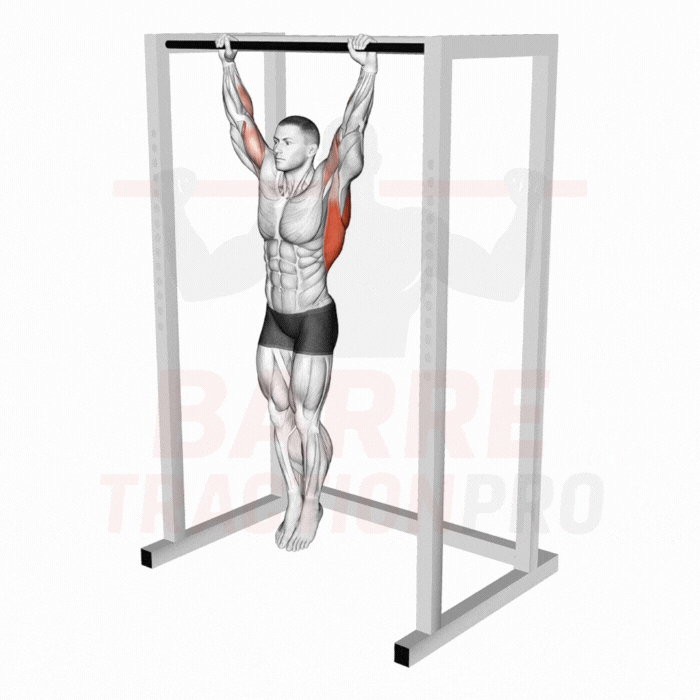 Suspension passive (dead hang)
