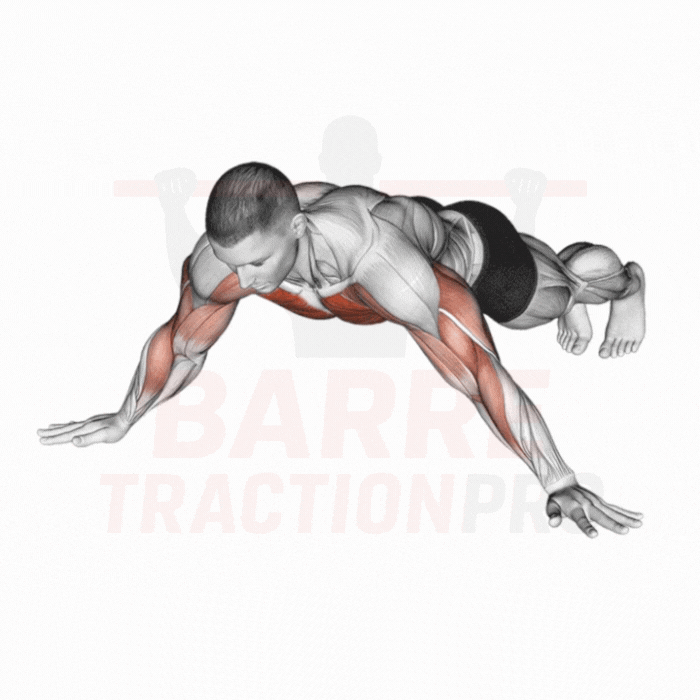 Pompe archer : Pectoraux unilatéraux, triceps