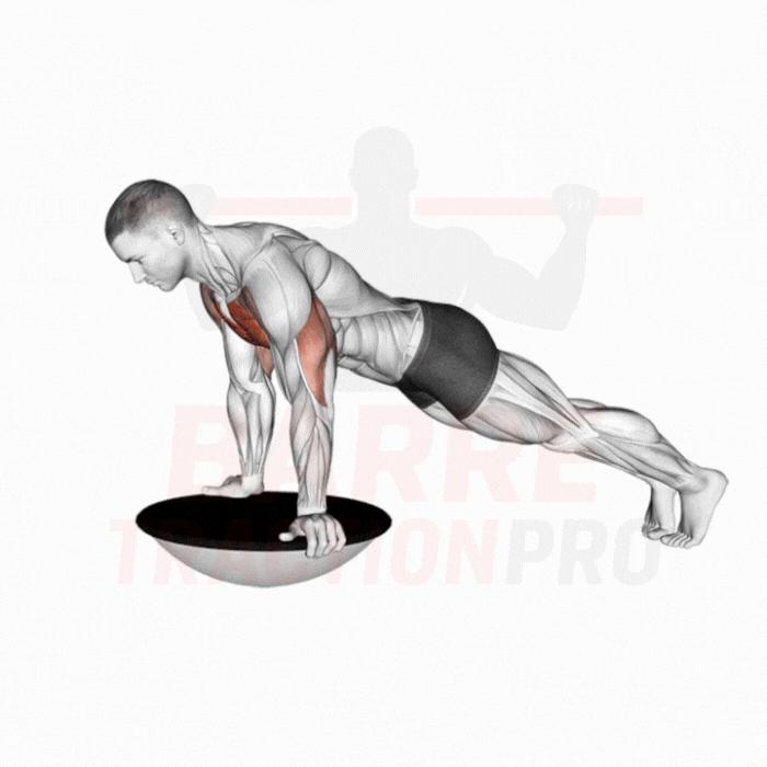 Pompe avec BOSU : Pectoraux, triceps, abdos