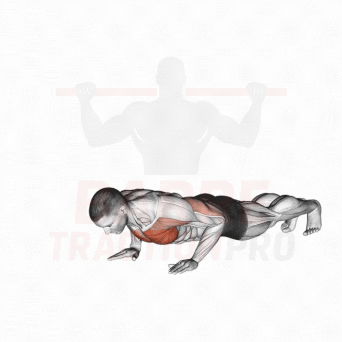 Pompe avec élévation de bras : Pectoraux, deltoïdes, core