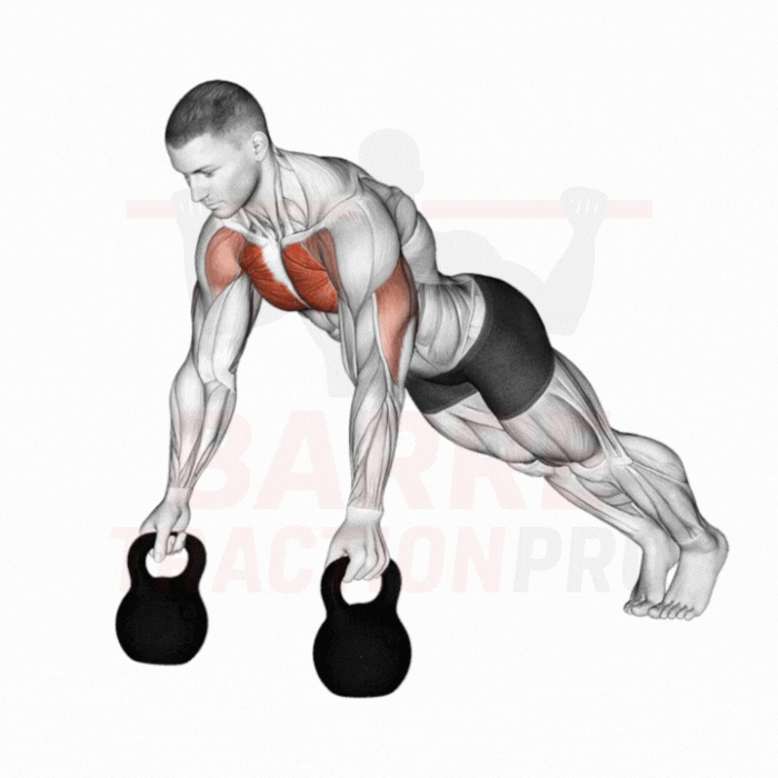 Pompe avec kettlebells : Pectoraux (étirement), triceps