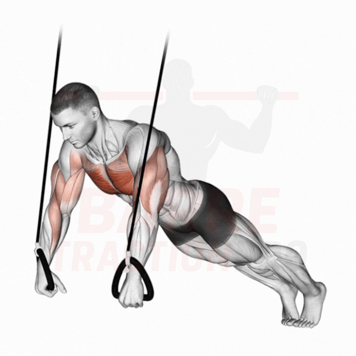 Pompe avec sangle de musculation (TRX) : Pectoraux, triceps, core