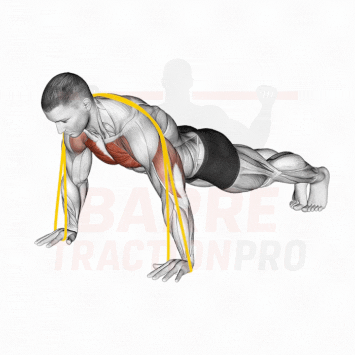 Pompe contre élastique : Pectoraux, triceps