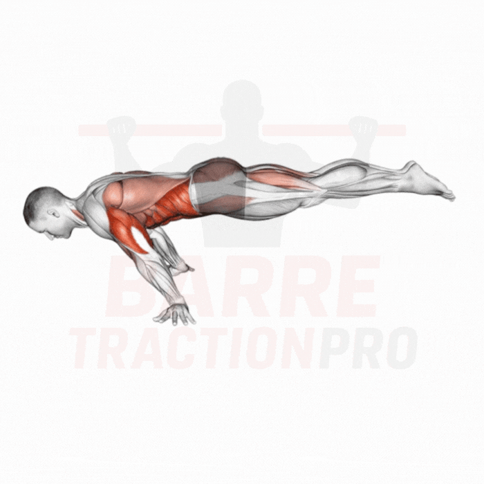 Pompe en planche (isométrique + reps) : Pectoraux, triceps, core