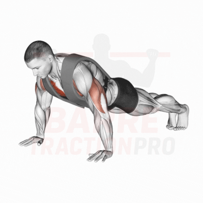 Pompe avec gilet lesté : Pectoraux, triceps