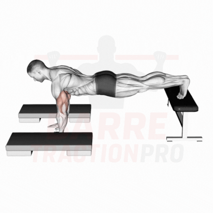 Pompe inclinée avec saut sur steps : Pectoraux, triceps