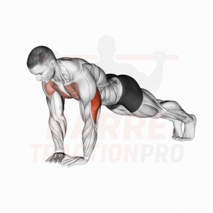 Pompe mains serrées (diamond) : Triceps, pectoraux internes