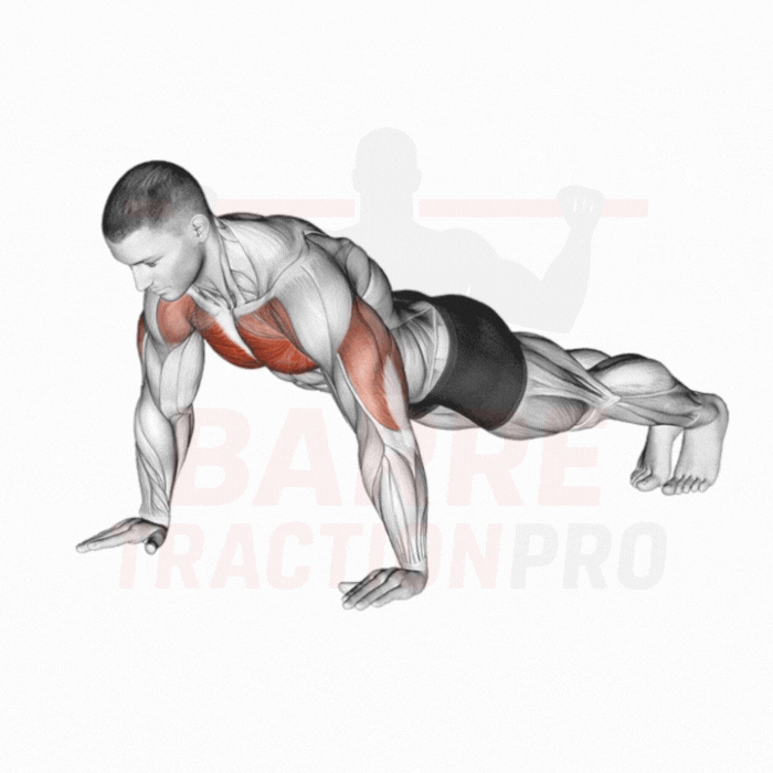 Exercice de pompe classique : variante basique