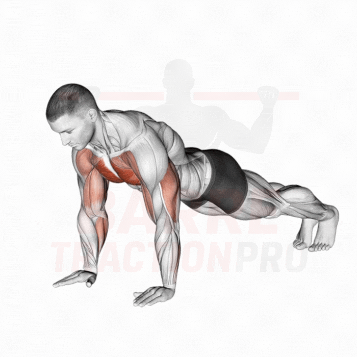 Pompe pliométrique sautée : Pectoraux, triceps
