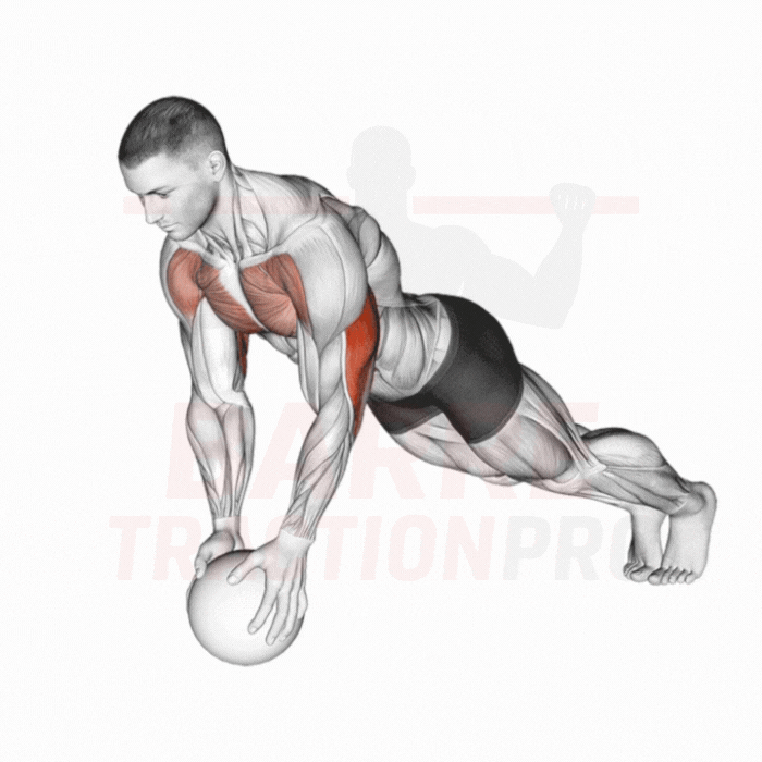 Pompe serrée sur medicine ball : Triceps, pectoraux, core