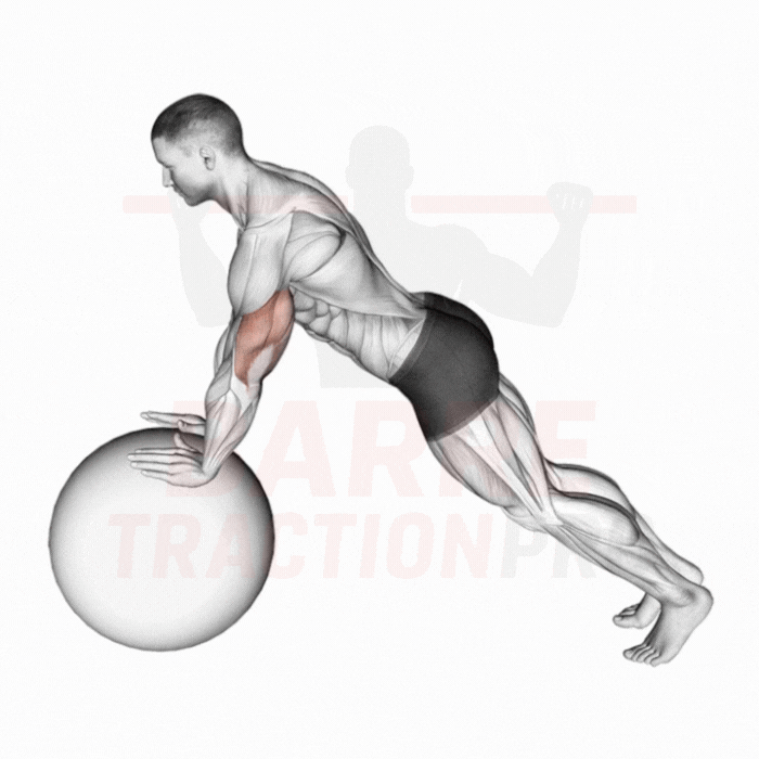 Pompe sur ballon de gym (mains) : Pectoraux, triceps, core