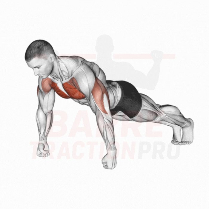 Pompe sur les poings : Pectoraux, triceps