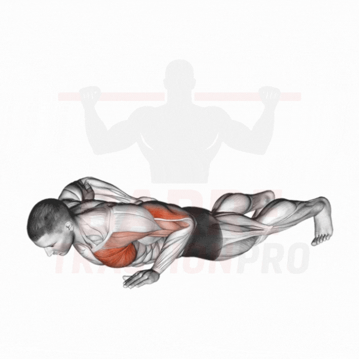 Pompe sur un bras : Pectoraux, triceps, obliques