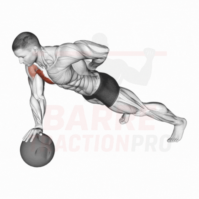 Pompe sur un bras (medicine ball) : Pectoraux, triceps, core