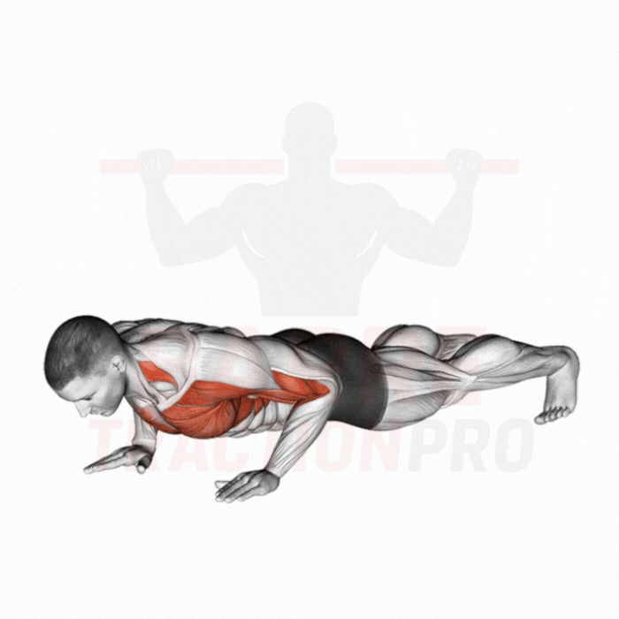 Pompe tape pectoraux unilatéral : Pectoraux, triceps, core
