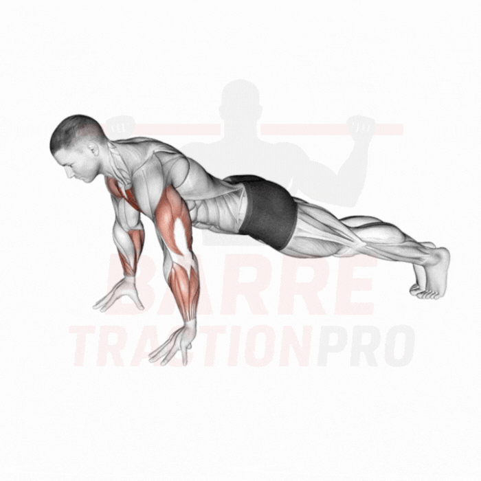 Pompes sur les doigts : Pectoraux, triceps, avant-bras