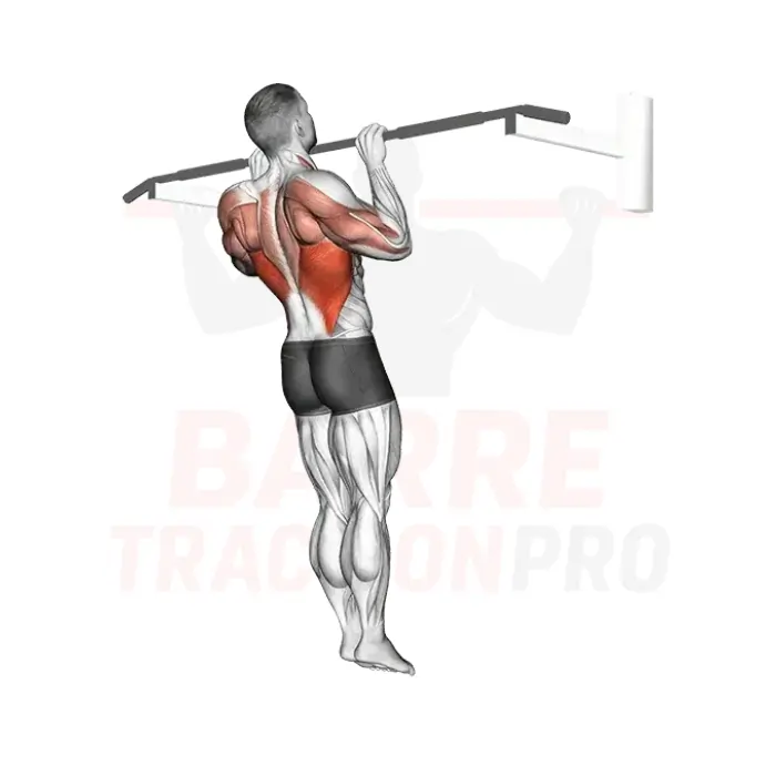 Traction isométrique : maintien en haut de barre avec scapula active