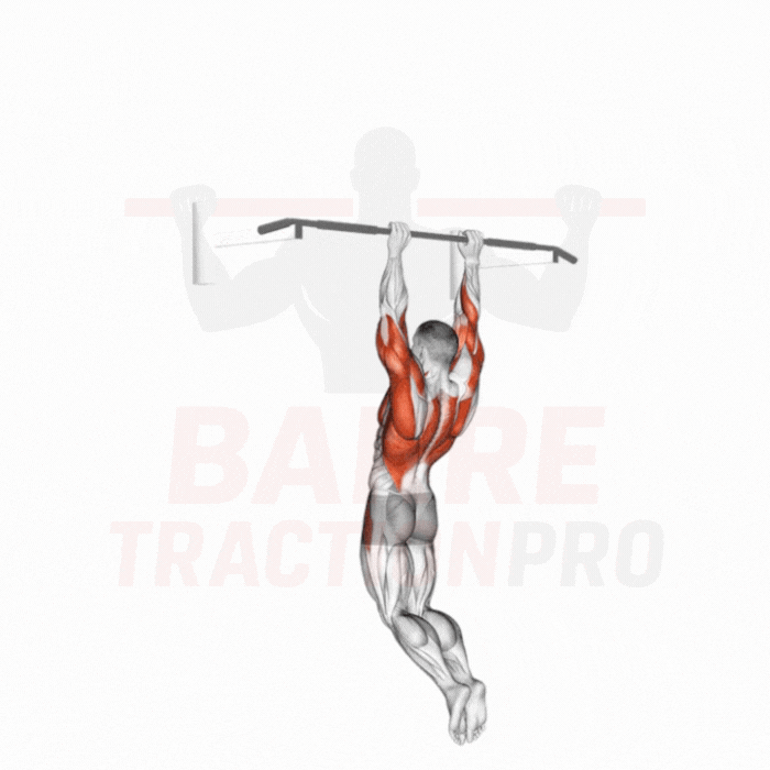 Démonstration du mouvement de muscle-up sur barre fixe