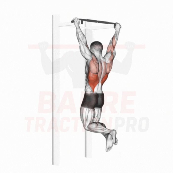 Exécution d’une traction en pronation à la barre de traction pour renforcer le dos
