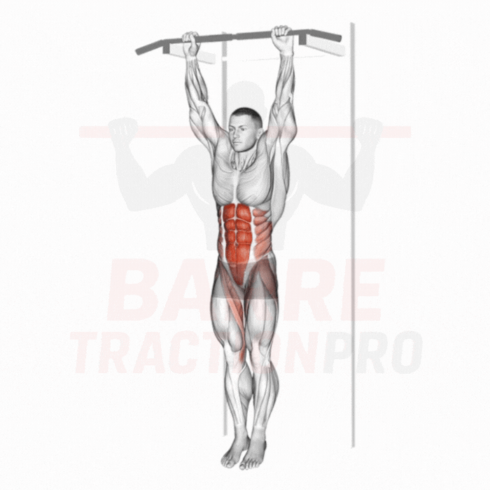Relevés de genoux suspendus à la barre (hanging knee raise)