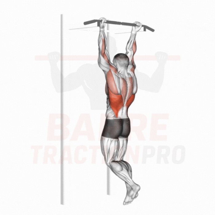 Traction en supination - exécution correcte