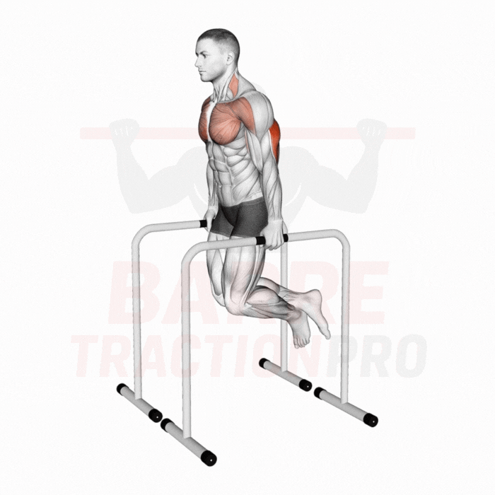 Dips parallèles triceps - exécution