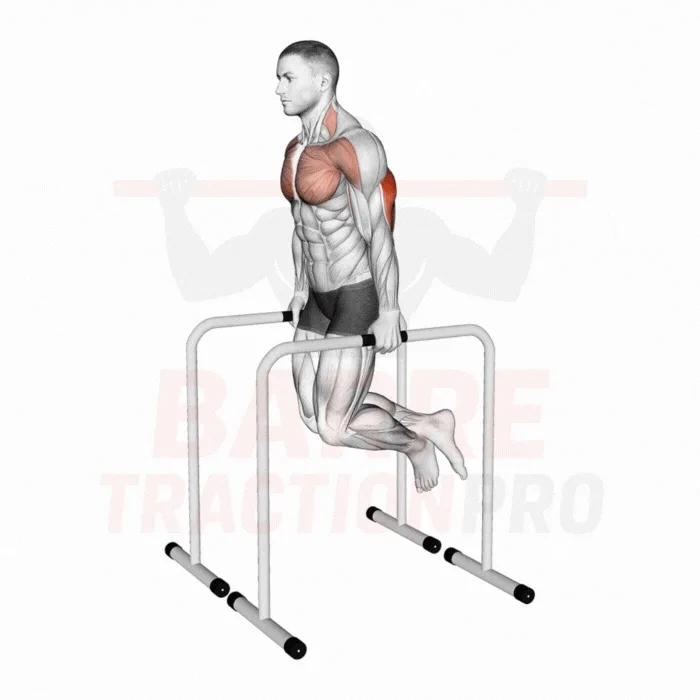 Dips parallèles triceps