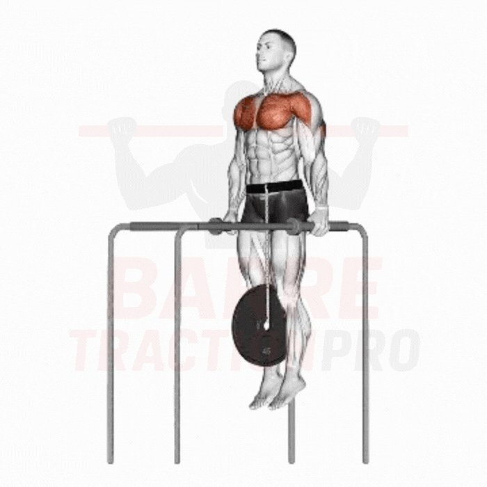 Dips lestés street lifting