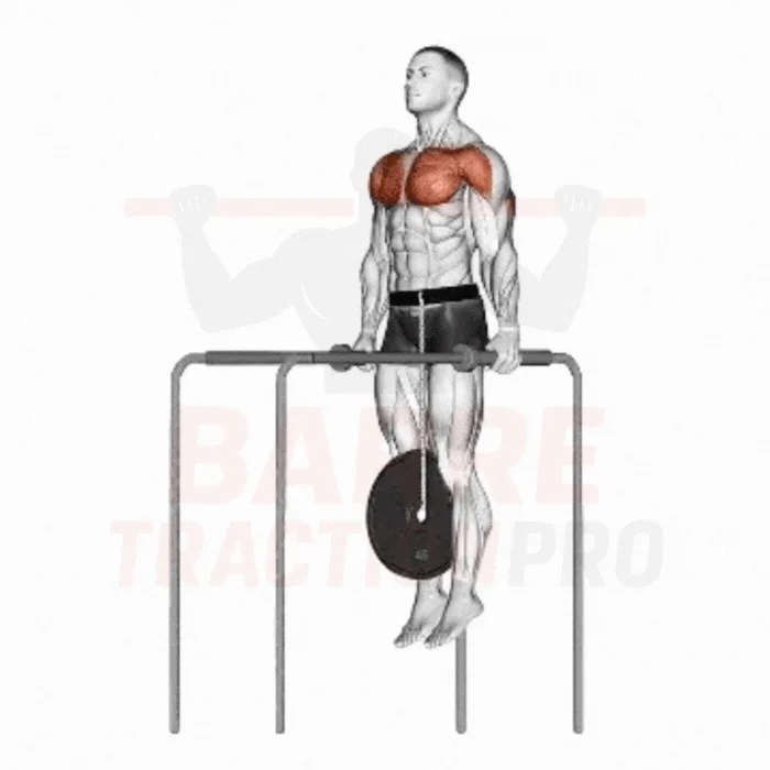 Dips lestés street lifting