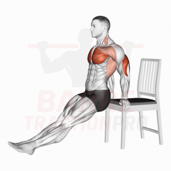 Dips sur une chaise - triceps