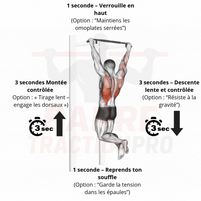 Traction à tempo lent en pronation — démonstration du mouvement contrôlé